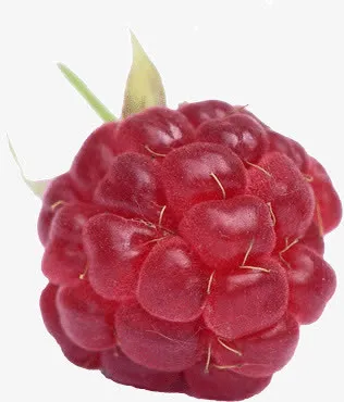 莓果素材免抠