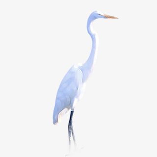 白色创意仙鹤元素免抠