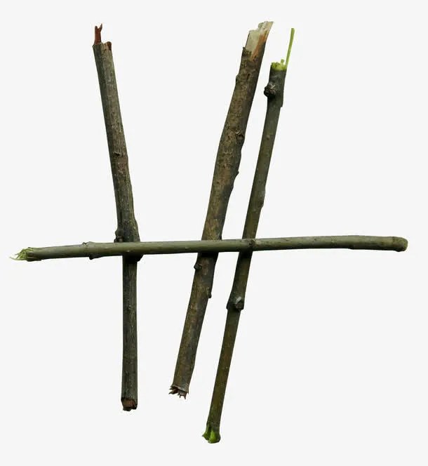 树枝免抠