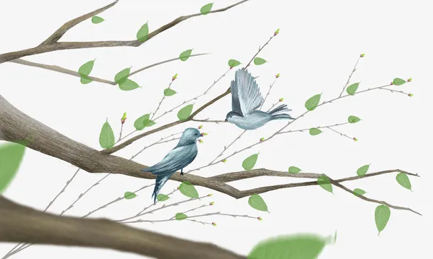 手绘水彩插画春天插图树枝树叶小免抠