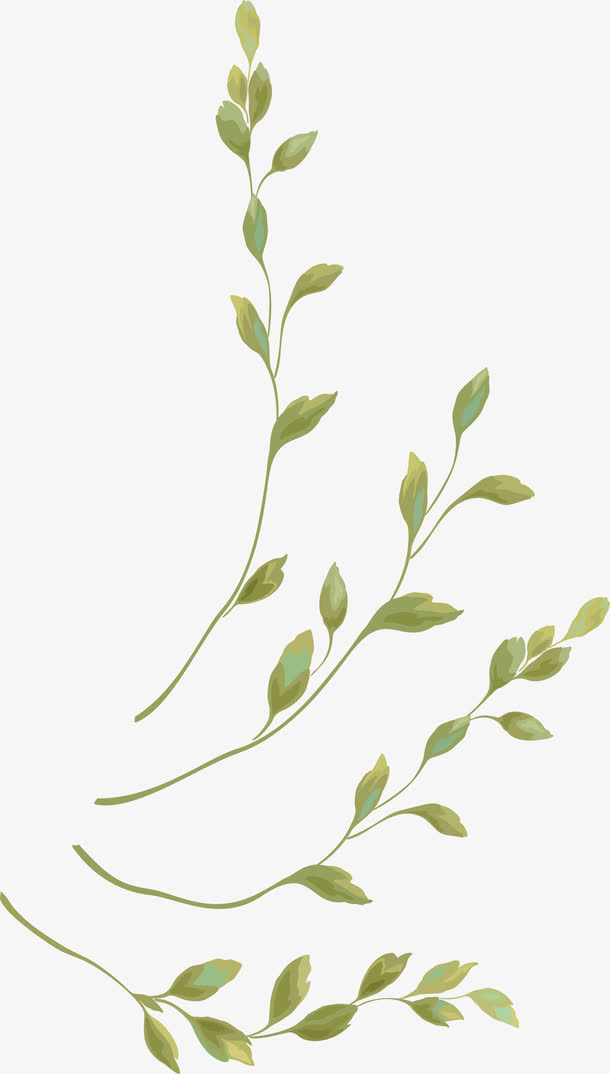 枝条叶子PNG下载免抠