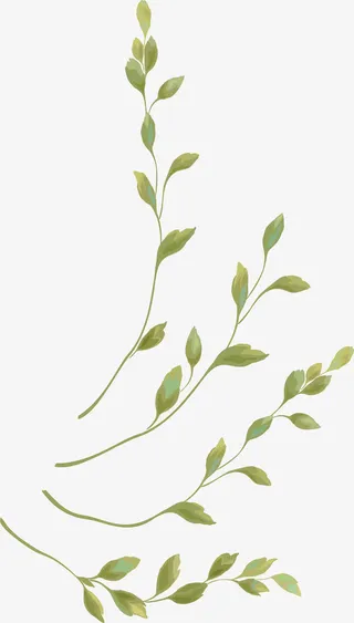 枝条叶子PNG下载免抠