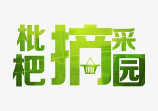 枇杷采摘园艺术字免抠