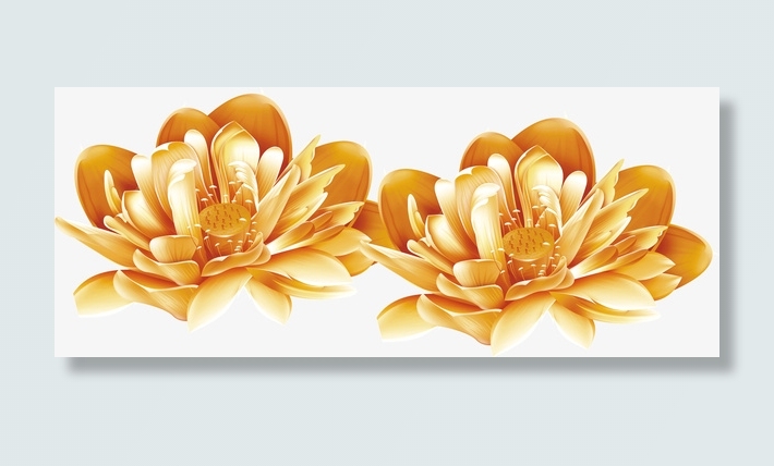 金色花朵免抠