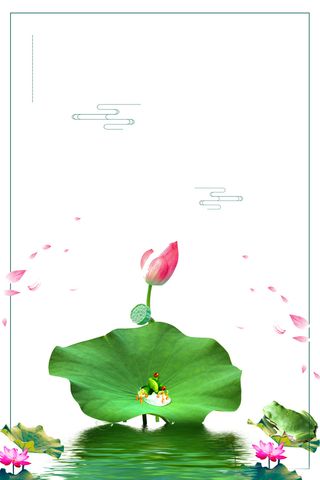 夏季荷塘月色二十四节气海报背景素材高清