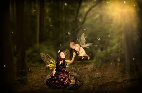 神秘树林里的光效免抠