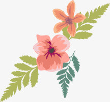 花免抠