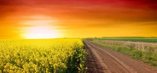 黄昏田野小路背景高清