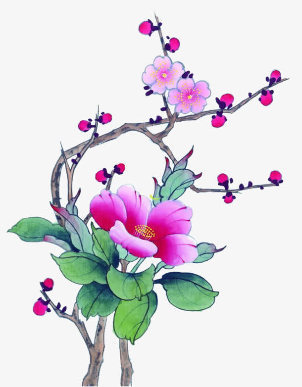 手绘粉色极梅花绿叶免抠