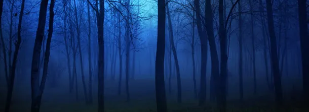 淘宝背景