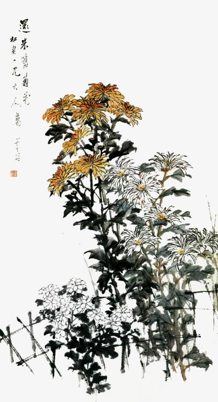 国画菊花免抠