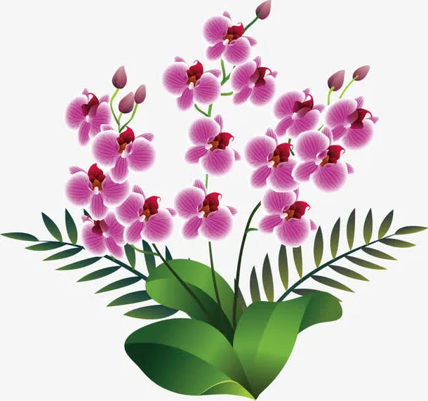 春暖花开免抠