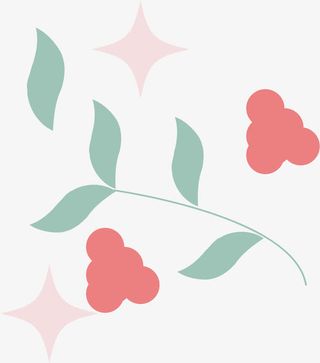 玫瑰清香水彩茶叶免抠