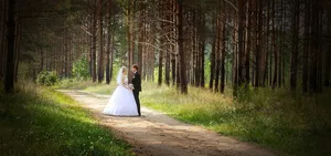 森系婚礼背景图高清