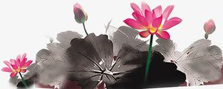 水墨粉色荷花荷叶免抠