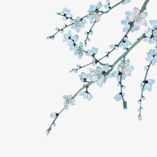 水彩红色桃花树枝免抠