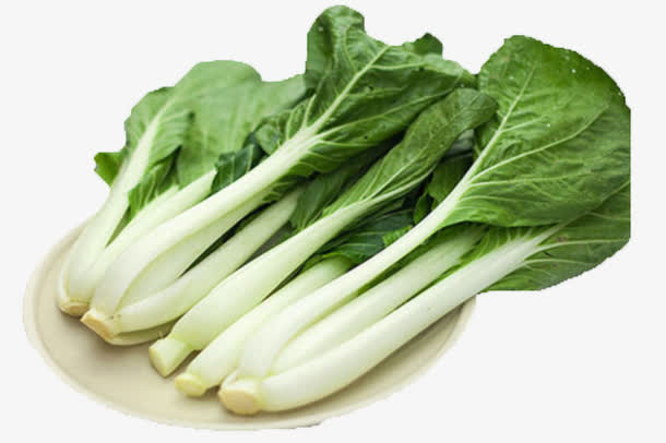 青菜，奶白菜免抠