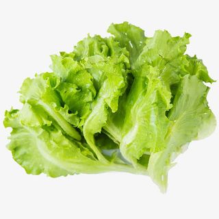 生菜免抠素材免抠