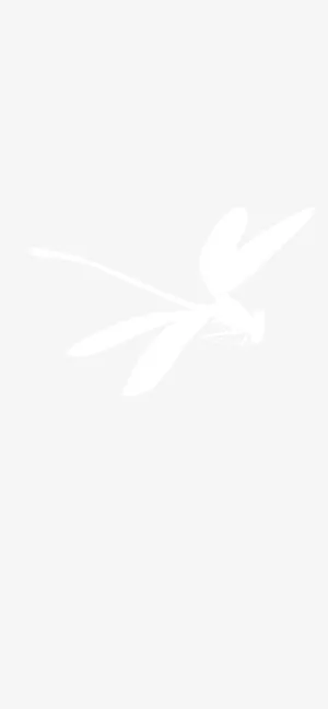 剪影 白色 蜻蜓 透明免抠