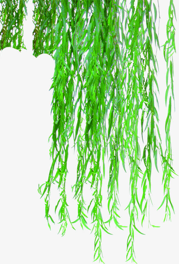 绿色春天垂柳风景免抠