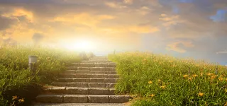 夕阳下林间小路背景高清