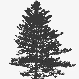 矢量树木的剪影免抠