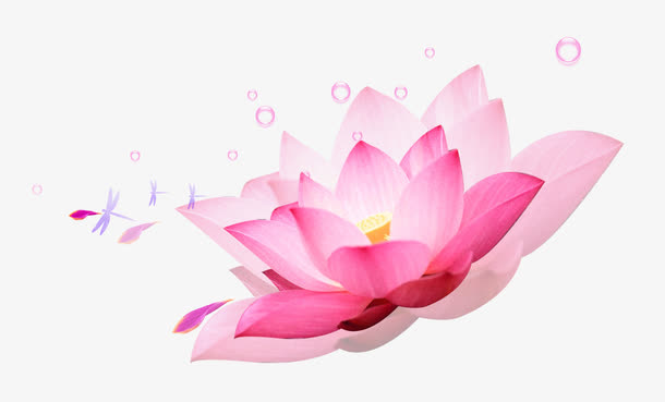 荷花装饰元素免抠