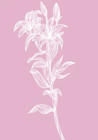 图案设计彩印花边A104免抠