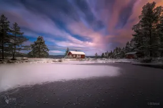 紫色天空雪地树林免抠