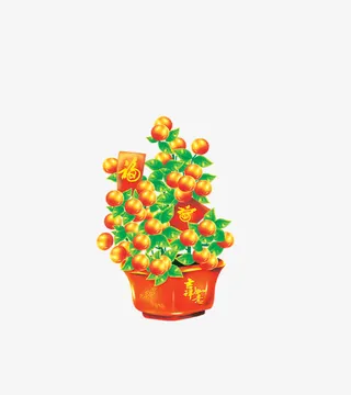 吉祥金桔树免抠