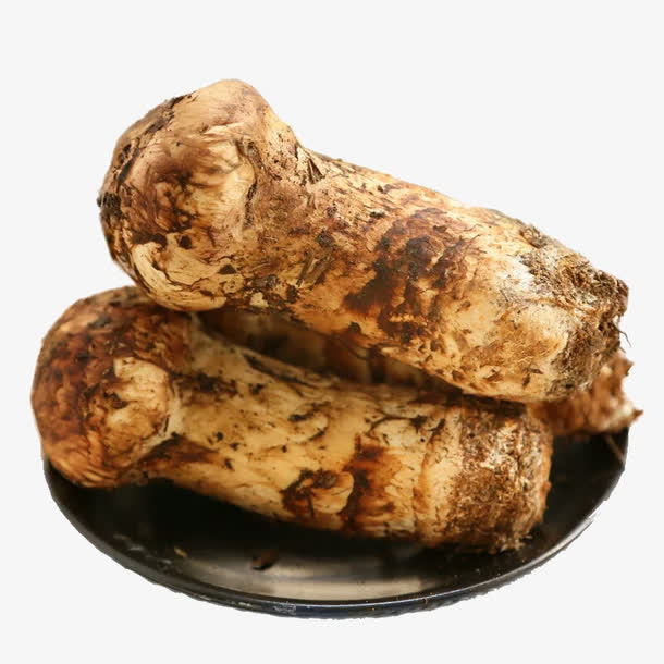 松茸素材免抠