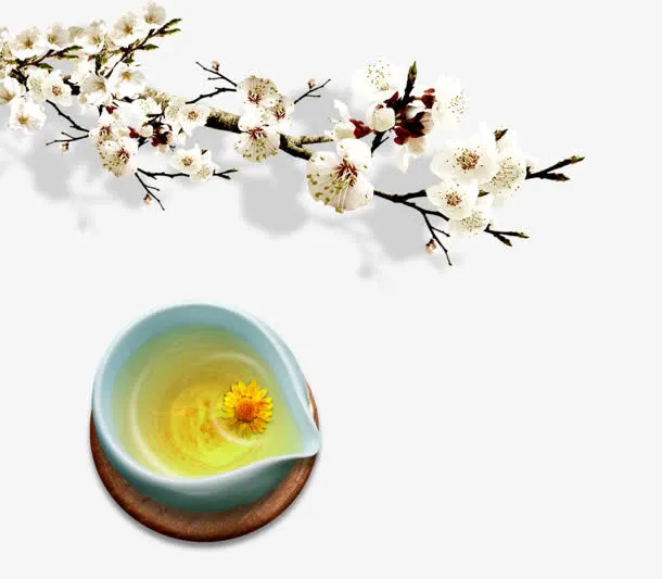 树杈免抠