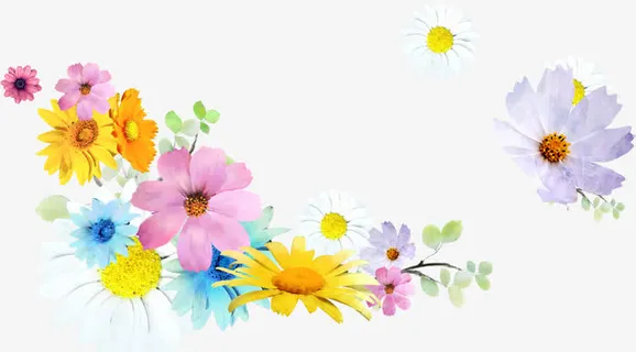 的彩色夏季花朵边框装饰免抠