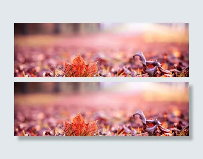 秋天落叶背景淘宝banner广告