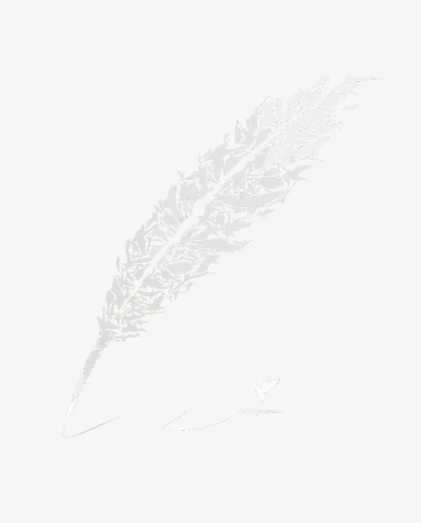 创意羽毛免抠