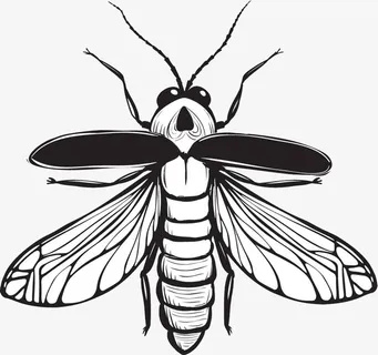 手绘黑白萤火虫免抠