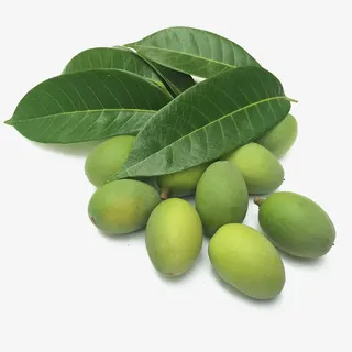 青橄榄素材免抠