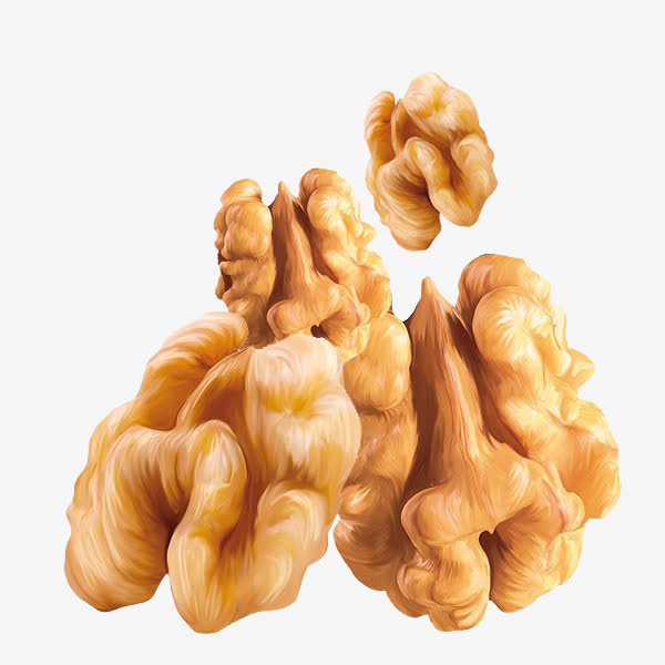 四个核桃仁免抠