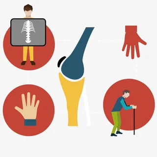 矢量艺术骨骼观察免抠