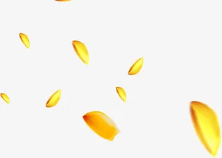 漂浮炫舞金币免抠