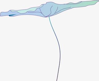 手绘黄粉色荷花荷叶免抠