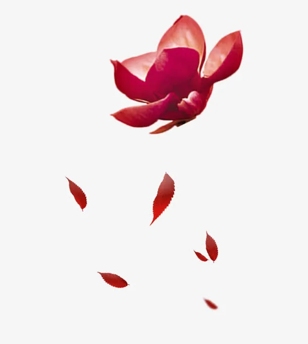 花瓣飘落免抠