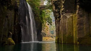 草地,背景,png,素材高清