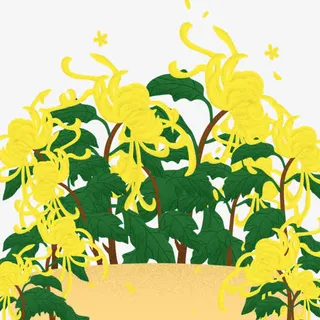 手绘菊花元素下载免抠