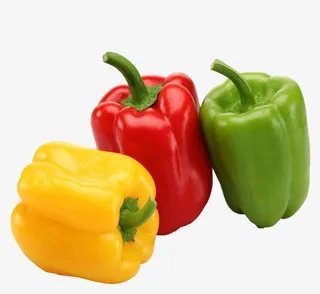 彩色的柿子椒免抠