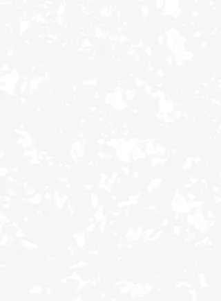 雪景 花瓣冬季素材背景添加