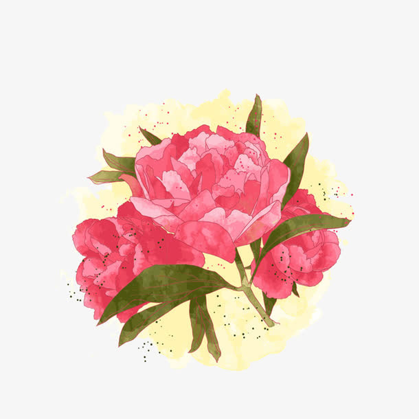 彩绘粉色牡丹花免抠