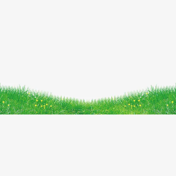 绿色草地免抠