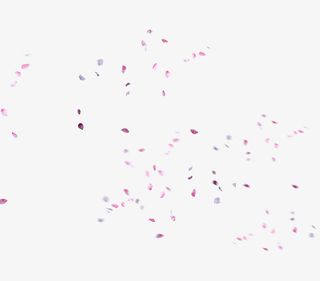 情人节妇女节三八节花瓣免抠