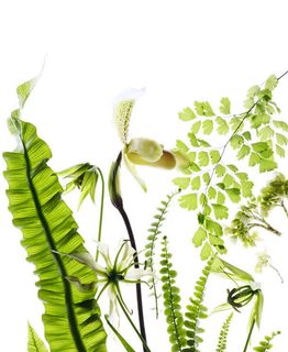 手绘绿叶花朵壁纸免抠